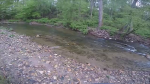 How to Locate Trout in a Small Stream - by Doug Steimel
